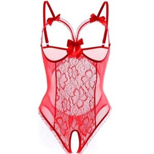 Never Worn Lace and Sheer Cut Off Lingerie